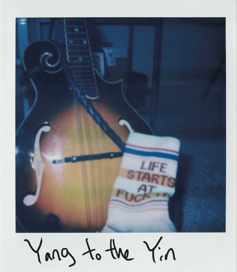 Polaroid for Yang to the Yin, title handwritten across the white border
